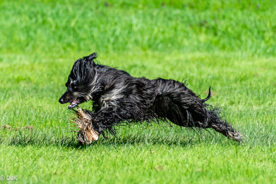 250427_DSC5102.JPG