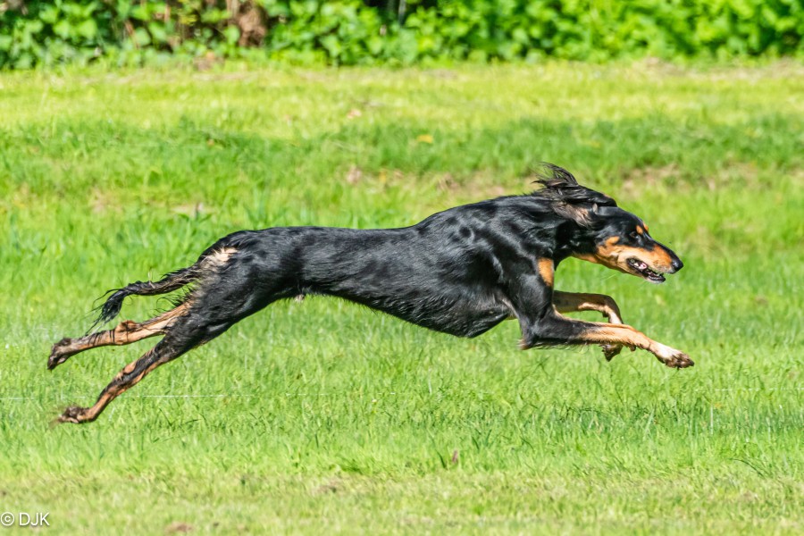 250427_DSC5160.JPG