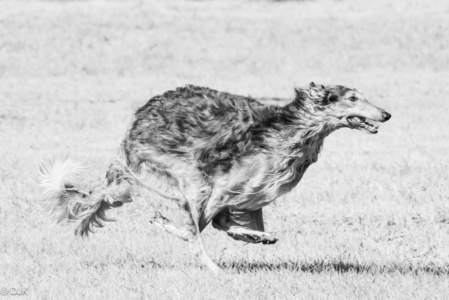250427_DSC5340.JPG