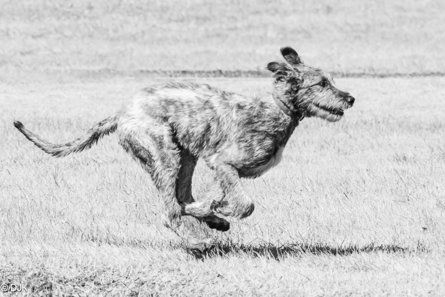 250427_DSC5416.JPG