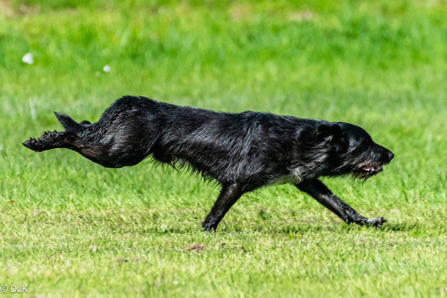 250427_DSC5536.JPG