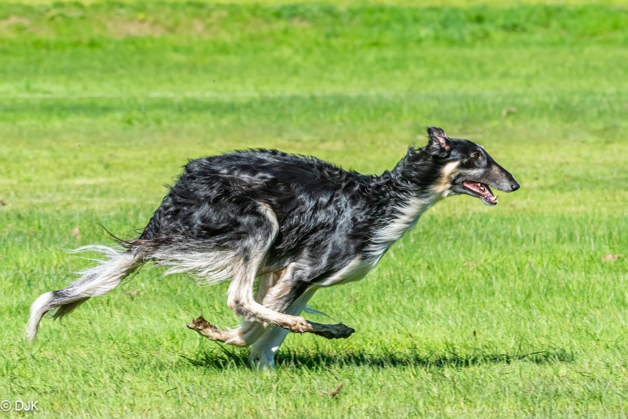 250427_DSC5618.JPG