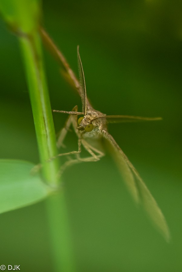 200716_DSC7649.JPG